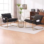 30.7  Arm Chair with Metal Frame and Gold Accents (Set of 2)